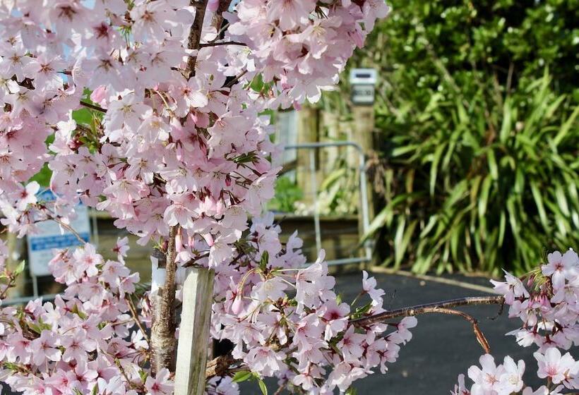 Arohanui Rural Retreat B&b