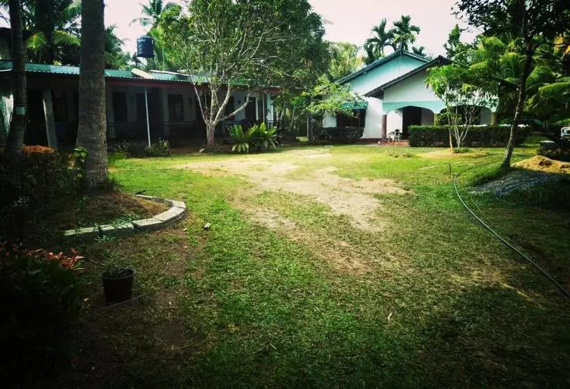 پانسیون Coconut Grove Midigama