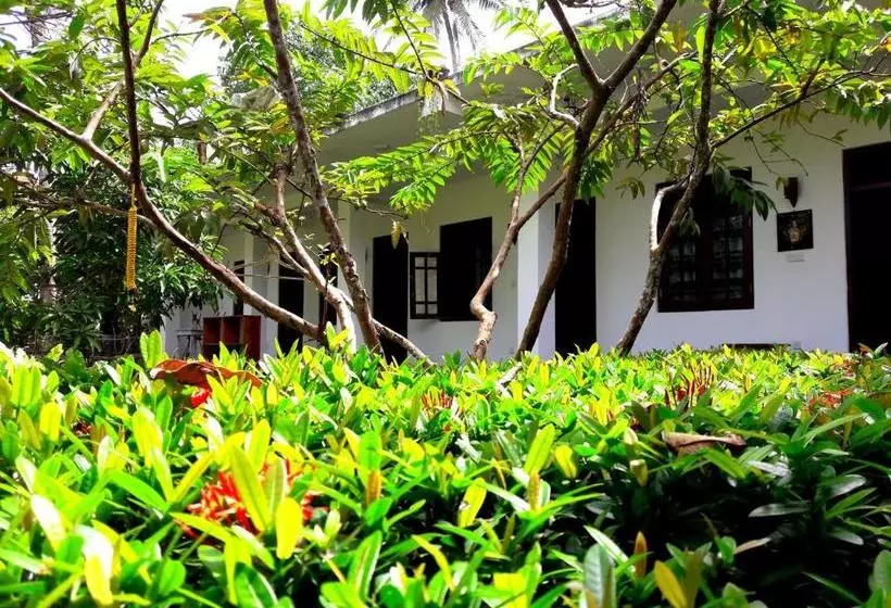پانسیون Coconut Grove Midigama