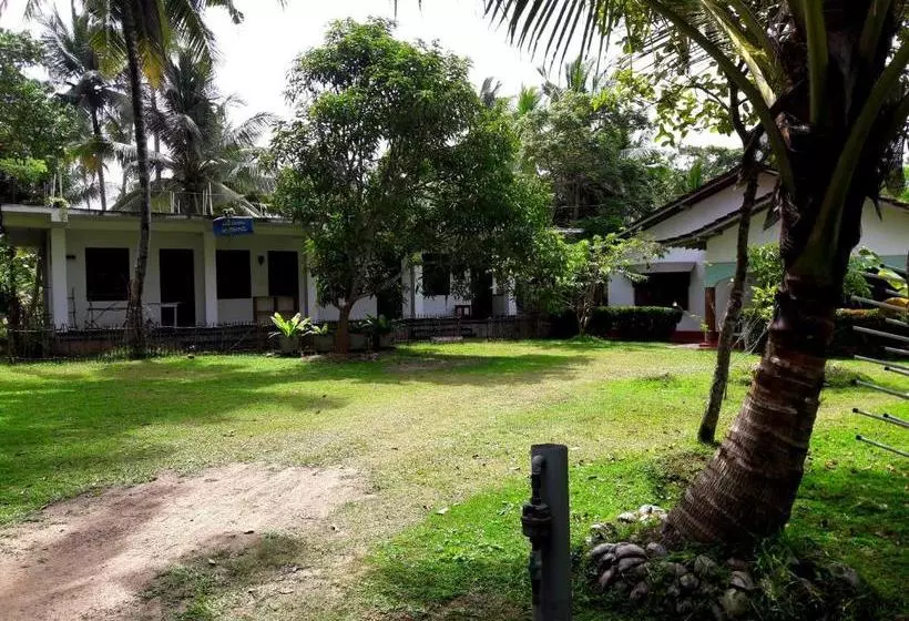 پانسیون Coconut Grove Midigama
