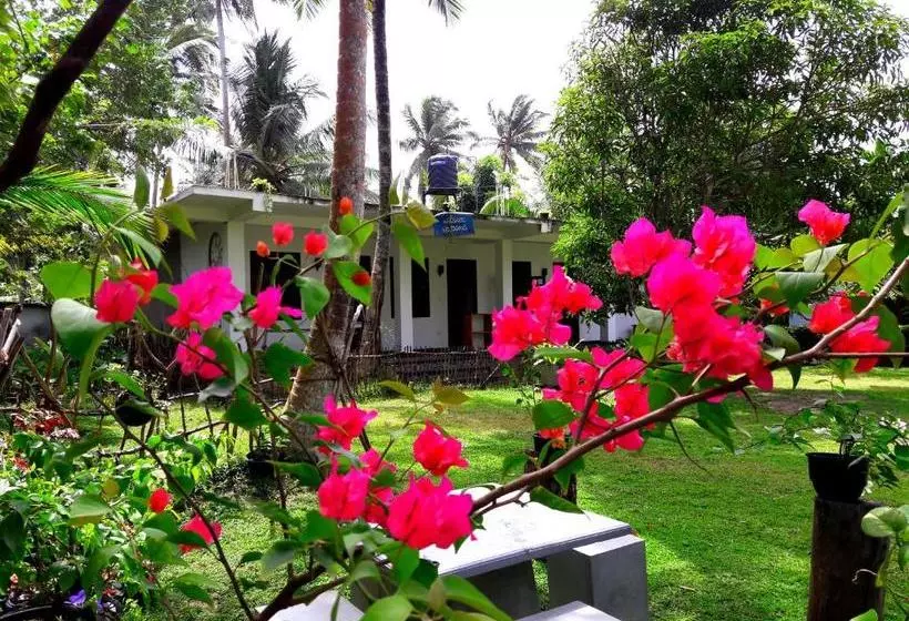پانسیون Coconut Grove Midigama