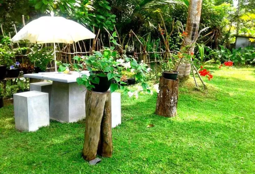 پانسیون Coconut Grove Midigama