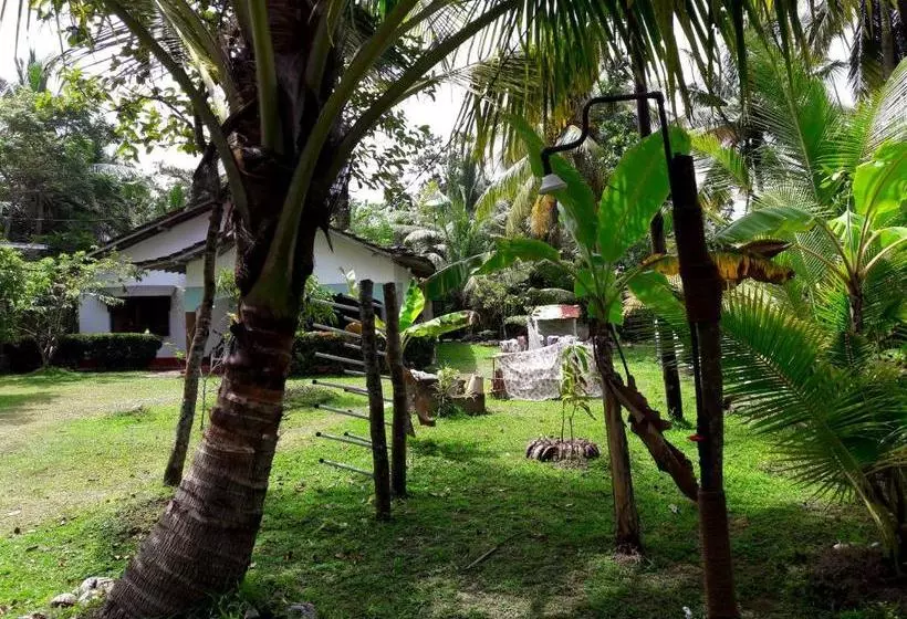 پانسیون Coconut Grove Midigama