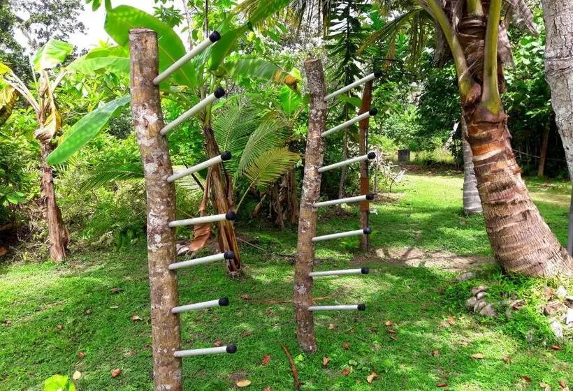 پانسیون Coconut Grove Midigama