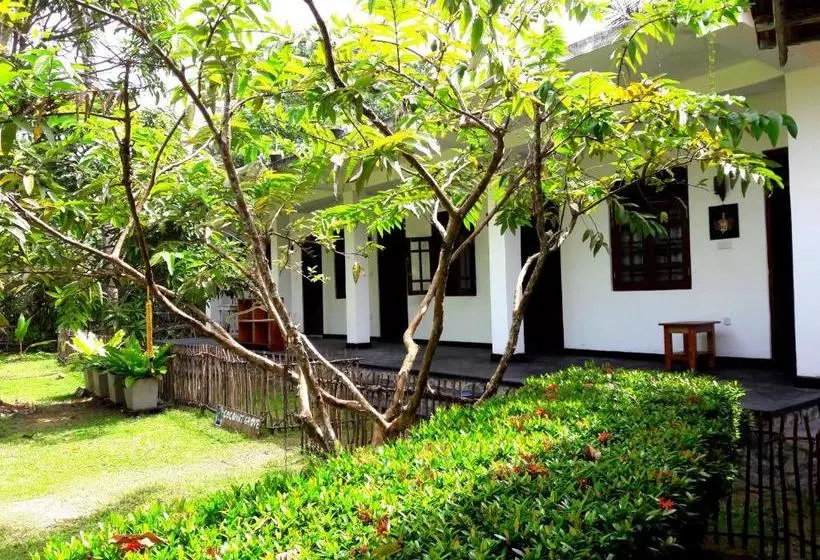 پانسیون Coconut Grove Midigama