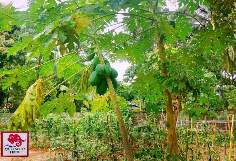 ホテル Athkandura