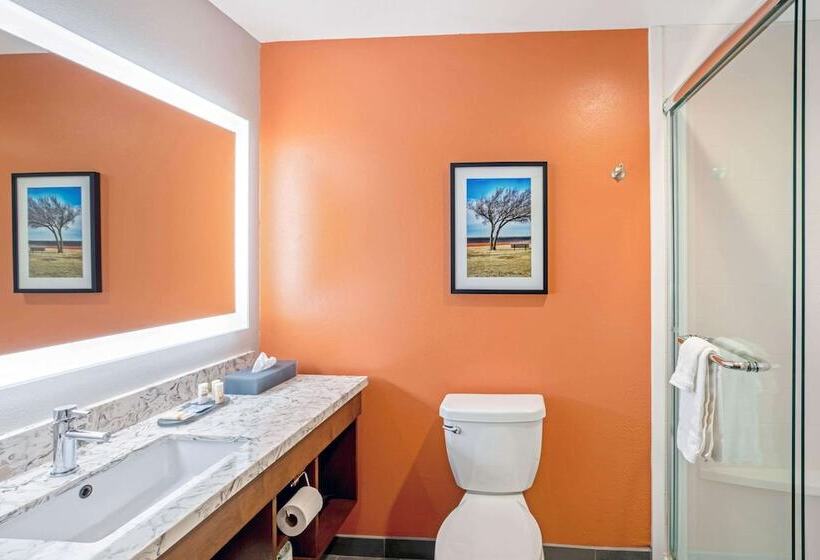 酒店 La Quinta By Wyndham Waco Baylor Downtown