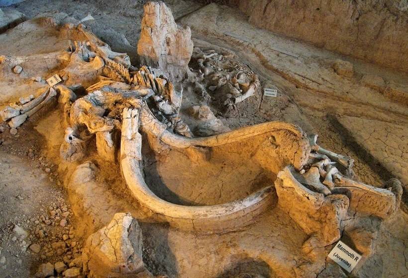 酒店 La Quinta By Wyndham Waco Baylor Downtown