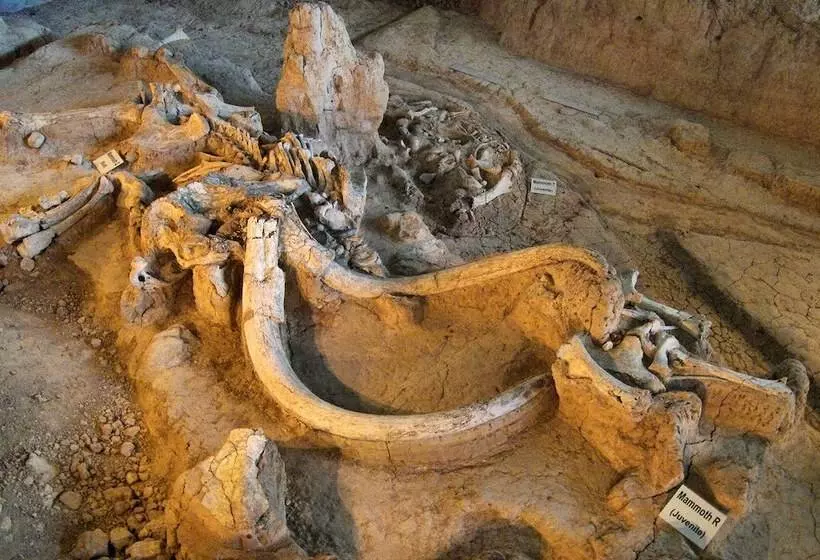 Hotelli La Quinta By Wyndham Waco Baylor Downtown