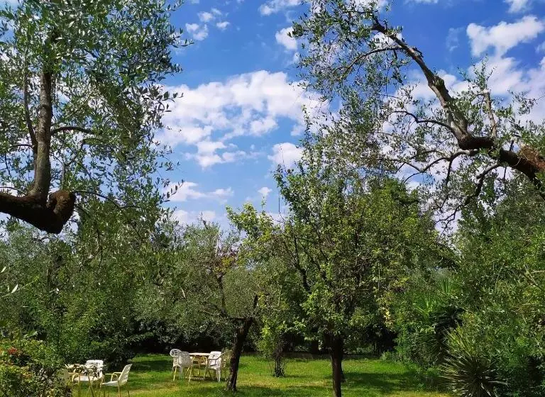 Ostello Delle Cartiere