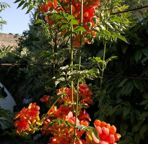 Ostello Delle Cartiere