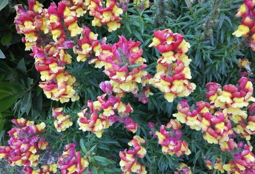 Ostello Delle Cartiere