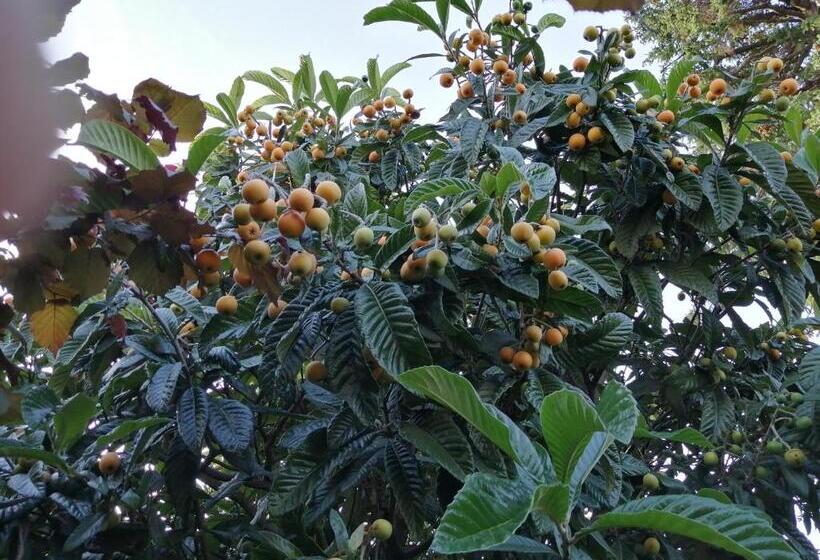 Ostello Delle Cartiere