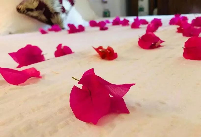 ベッドアンドブレックファースト Laligurasvilla Beachside Escape   100m To Beach