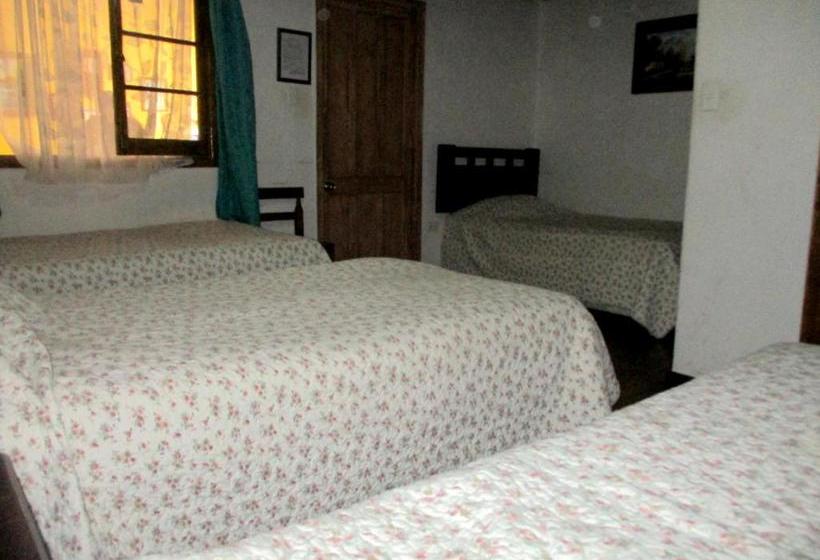 هتل Centro Sur   Colonial