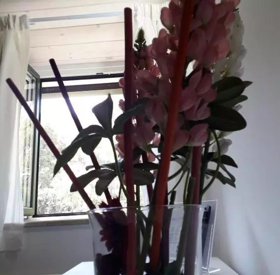 Majatalo Residenza D'epoca Olimpia