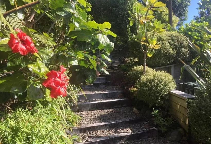 Fantail B&b