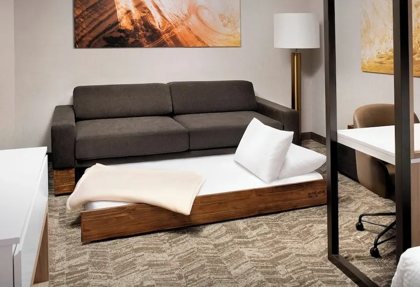 ホテル Springhill Suites By Marriott Punta Gorda Harborside