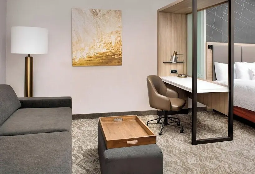 ホテル Springhill Suites By Marriott Punta Gorda Harborside