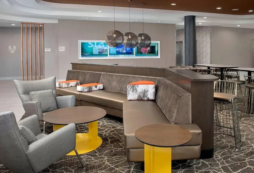 ホテル Springhill Suites By Marriott Punta Gorda Harborside