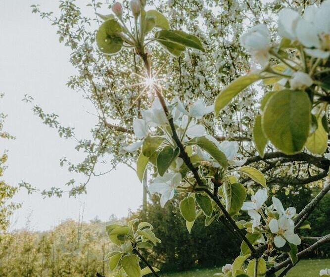 리조트 Northumberland Heights Wellness Retreat & Spa