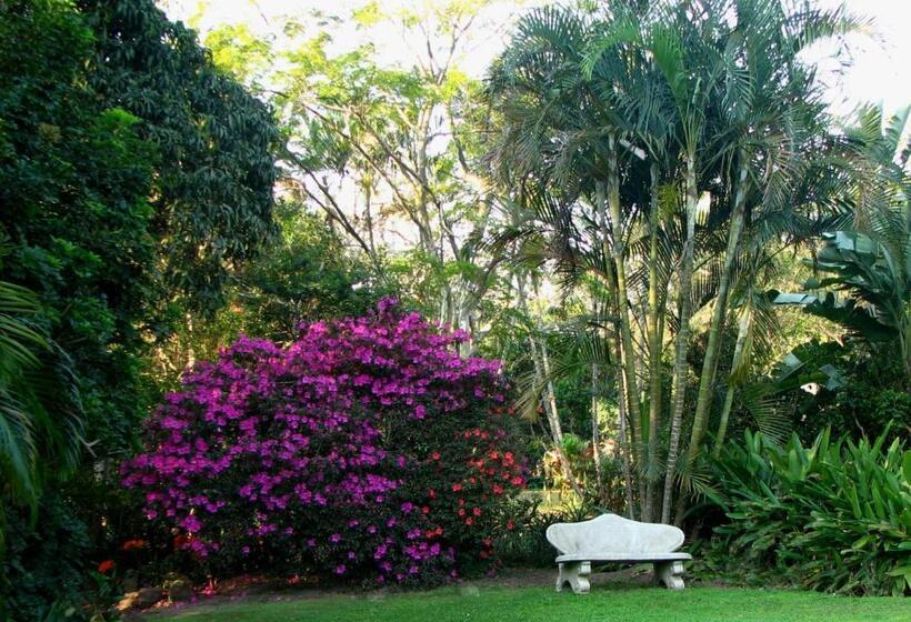 بنسيون Butterscotch B&b