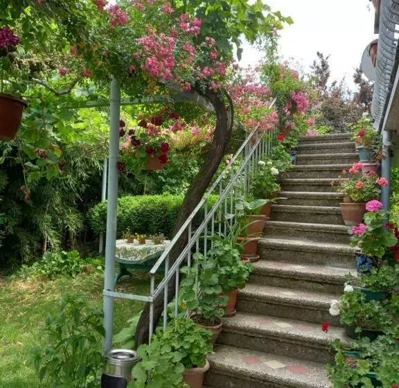 پانسیون Valiko House In Telavi