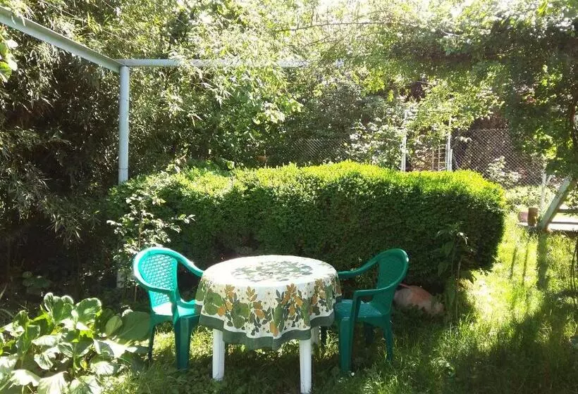 پانسیون Valiko House In Telavi