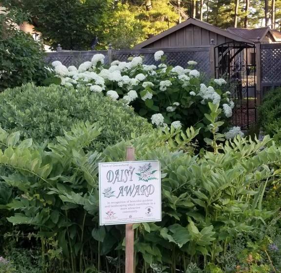 Four Ninety Muskoka B & B