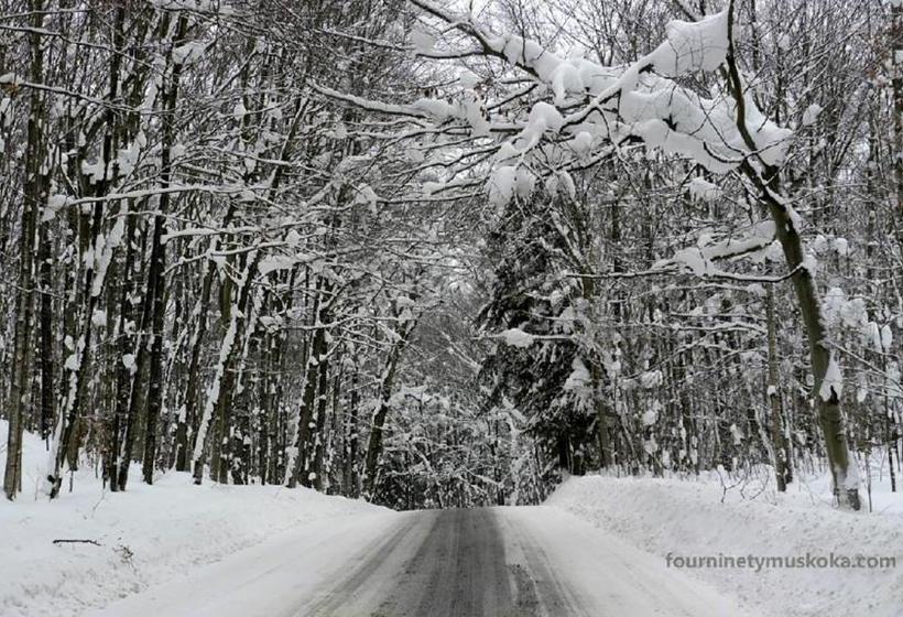 Four Ninety Muskoka B & B