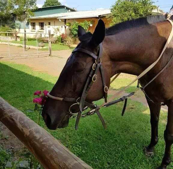 ホテル The Little Club Getaway At The Hay Barn