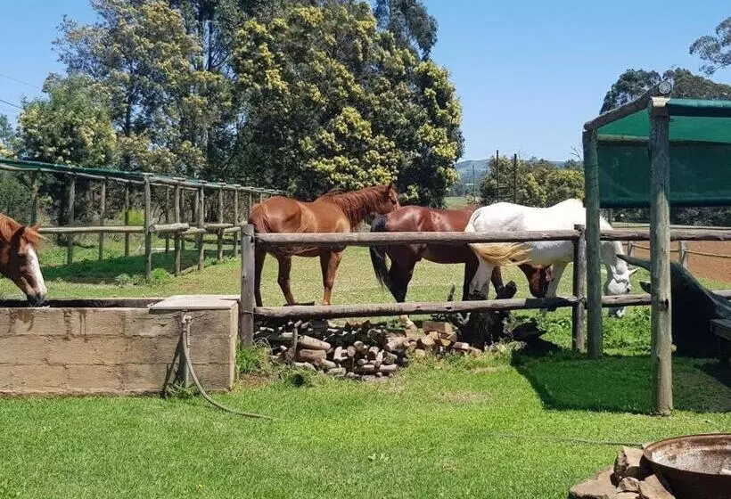 ホテル The Little Club Getaway At The Hay Barn