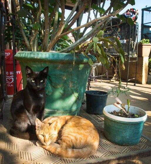 فندق The Little Club Getaway At The Hay Barn