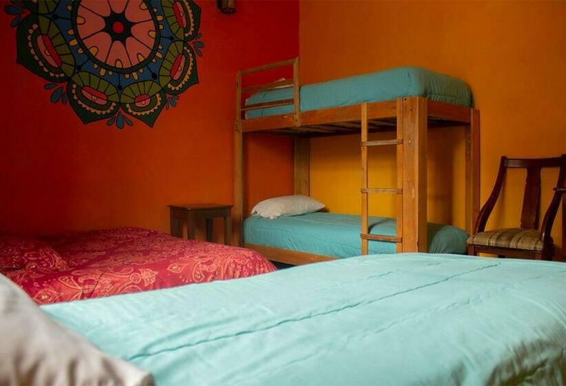 Pansiyon Hostal Café Tiana