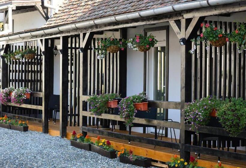 Pensiunea Alina Adults Only