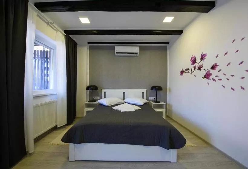 Pensiunea Alina Adults Only