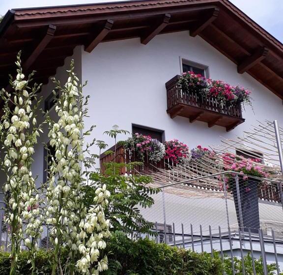 ベッドアンドブレックファースト Samecà