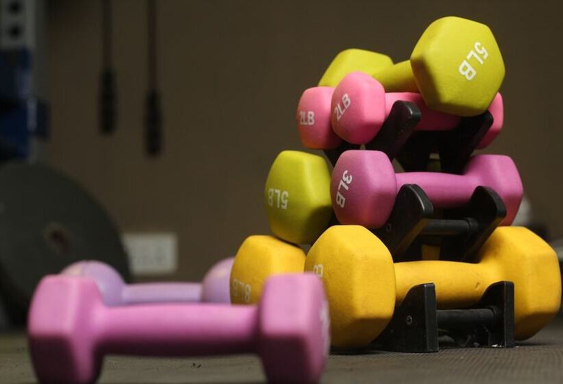 تختخواب و صبحانه The Stafford Lodge