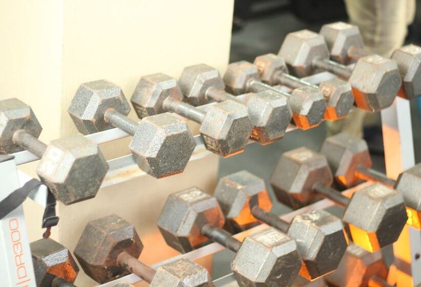 تختخواب و صبحانه The Stafford Lodge