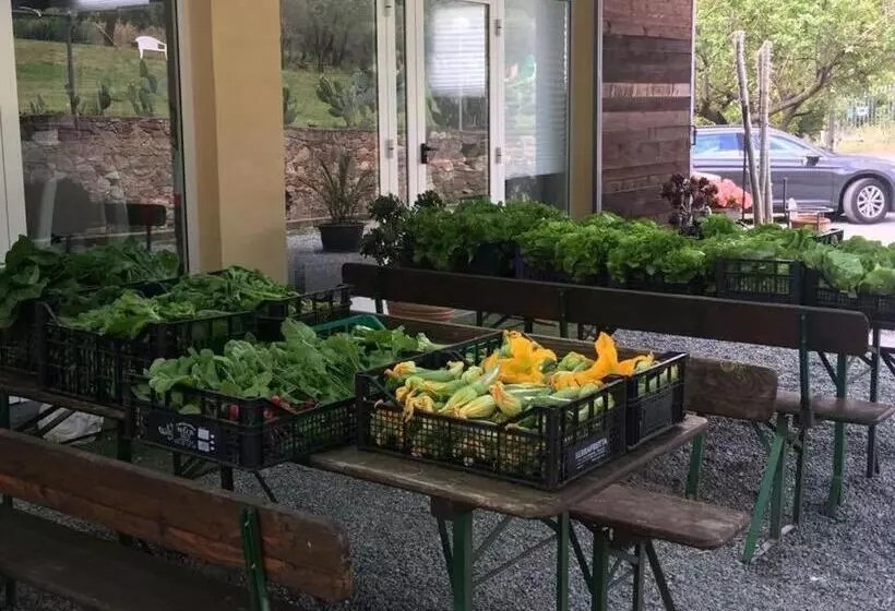 ホテル Agriturismo Argentea