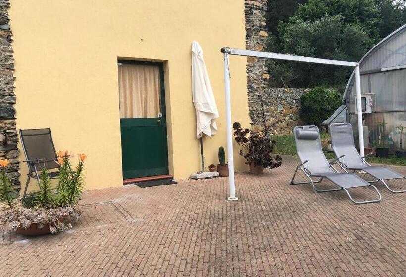 בית מלון כפרי Agriturismo Argentea