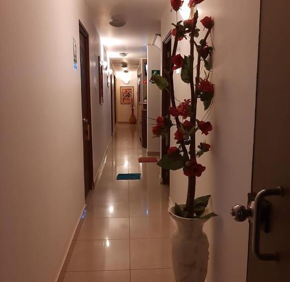 Pension Hostal La Noche Pisco