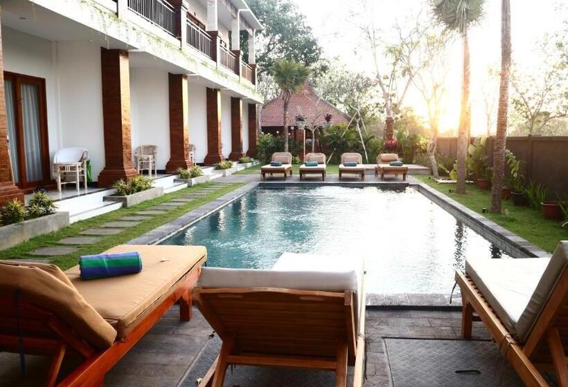 펜션 Seno Guesthouse & Cafe