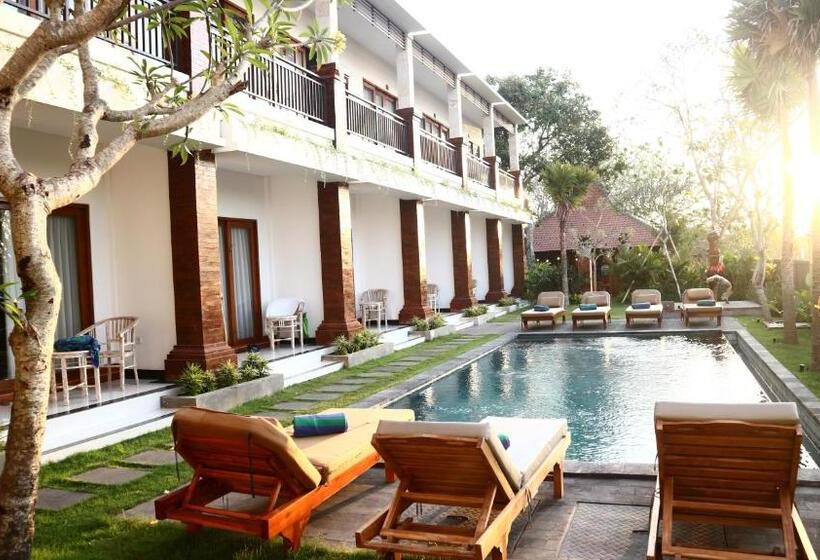 펜션 Seno Guesthouse & Cafe