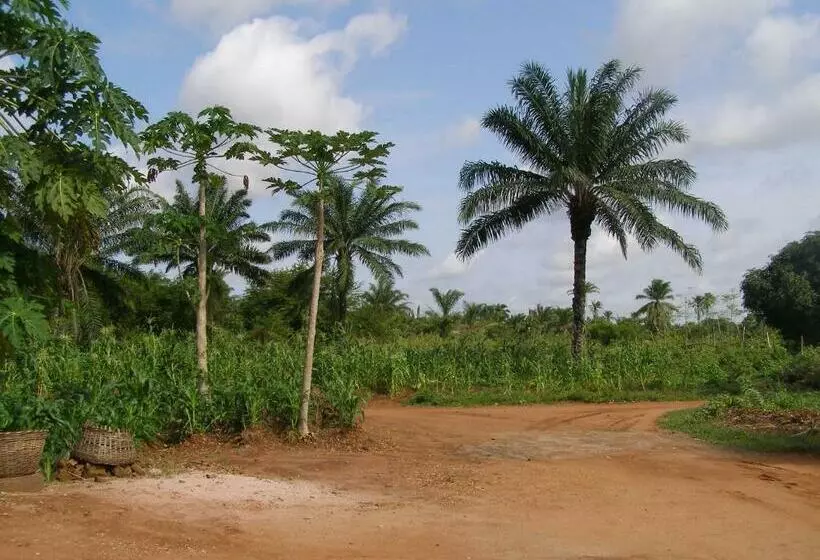 تختخواب و صبحانه Chez Sabine