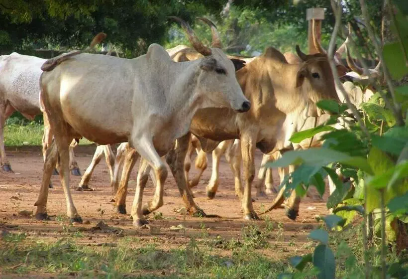 تختخواب و صبحانه Chez Sabine