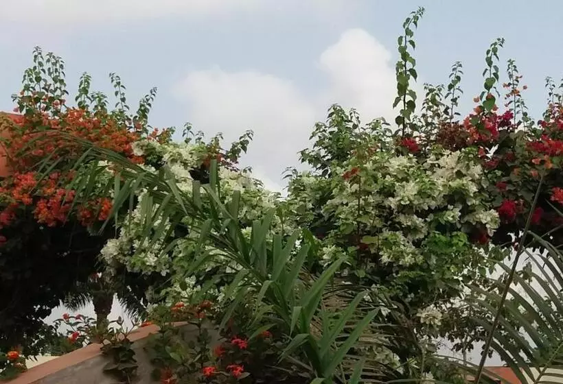 تختخواب و صبحانه Chez Sabine