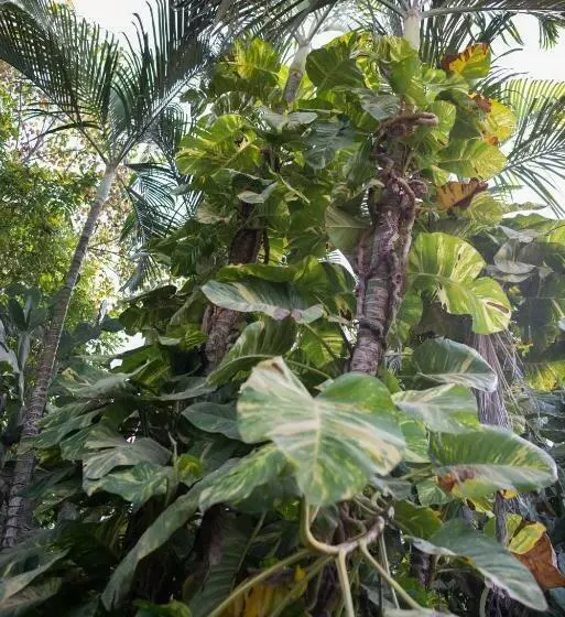 پانسیون Casa Del Sol