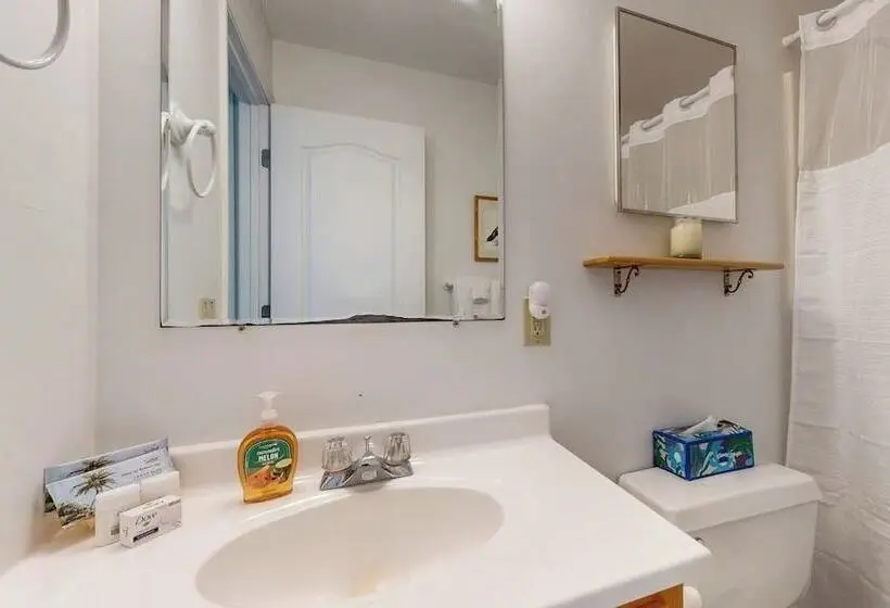 Oceanfront Home With Water Views   Central Ac, Washer/dryer & Beach Access
