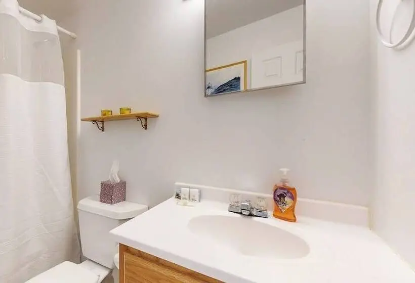 Oceanfront Home With Water Views   Central Ac, Washer/dryer & Beach Access